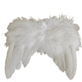 Ailes Ange blanche